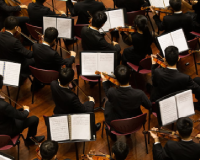 Aerial view showing the backs of violinists in an orchestra, as well as their stands and sheet music. The violinists are all dressed in black.